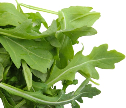 Photo of Tray of Arugula
