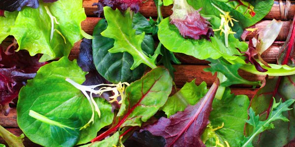 Photo of Sesame Ginger Spring Mix Salad Tray