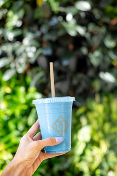 Photo of Regular Blue Mystique Smoothie