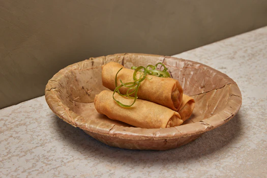Photo of Spring Roll