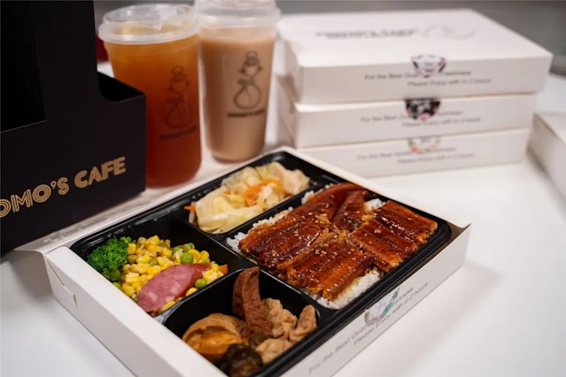 Individual Bento Boxes