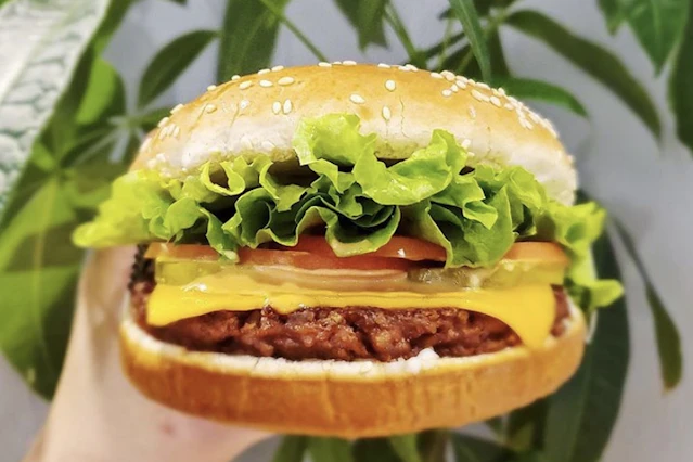 Burger & Sandwich Trays